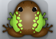 Cocos Folium Dextera Frog from Pocket Frogs