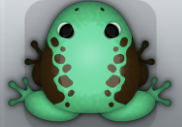 Marine Cafea Dextera Frog from Pocket Frogs
