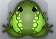 Olive Folium Dextera Frog from Pocket Frogs