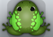 Olive Muscus Dextera Frog from Pocket Frogs