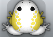 White Aurum Dextera Frog from Pocket Frogs