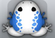 White Caelus Dextera Frog from Pocket Frogs