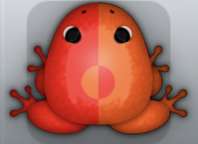 Red Carota Dimidius Frog from Pocket Frogs