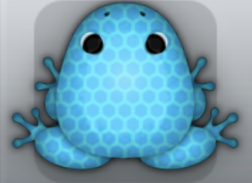 Azure Callaina Favus Frog from Pocket Frogs