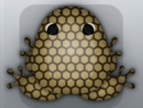 Beige Cafea Favus Frog from Pocket Frogs