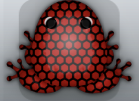 Maroon Picea Favus Frog from Pocket Frogs