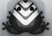 Black Albeo Flecto Frog from Pocket Frogs