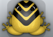 Golden Picea Flecto Frog from Pocket Frogs