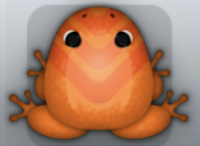 Tangelo Carota Flecto Frog from Pocket Frogs