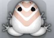 White Ceres Flecto Frog from Pocket Frogs