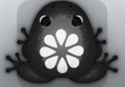 Black Albeo Floresco Frog from Pocket Frogs