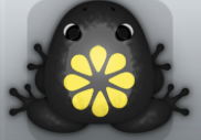 Black Aurum Floresco Frog from Pocket Frogs