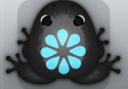 Black Callaina Floresco Frog from Pocket Frogs