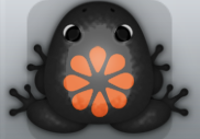 Black Carota Floresco Frog from Pocket Frogs