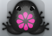 Black Floris Floresco Frog from Pocket Frogs