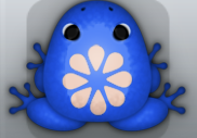 Blue Ceres Floresco Frog from Pocket Frogs