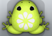 Lime Albeo Floresco Frog from Pocket Frogs