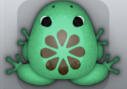 Marine Cafea Floresco Frog from Pocket Frogs