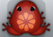 Maroon Carota Floresco Frog from Pocket Frogs