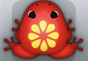 Red Aurum Floresco Frog from Pocket Frogs