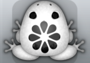 White Picea Floresco Frog from Pocket Frogs