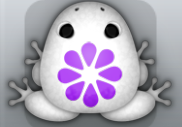 White Viola Floresco Frog from Pocket Frogs