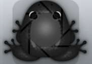 Black Picea Foramen Frog from Pocket Frogs