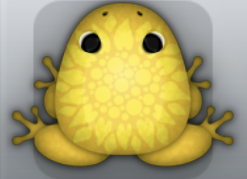 Golden Aurum Fortuno Frog from Pocket Frogs