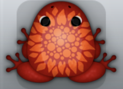 Maroon Carota Fortuno Frog from Pocket Frogs