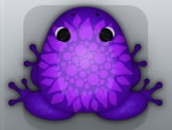 Purple Viola Fortuno Frog from Pocket Frogs