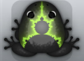 Black Folium Fractus Frog from Pocket Frogs