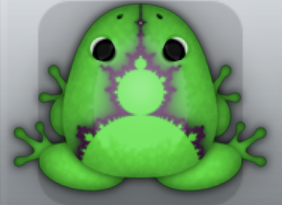 Emerald Pruni Fractus Frog from Pocket Frogs