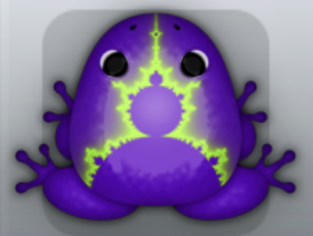 Purple Folium Fractus Frog from Pocket Frogs