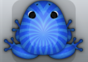 Blue Caelus Frondis Frog from Pocket Frogs