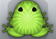 Green Folium Frondis Frog from Pocket Frogs