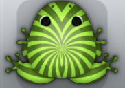 Olive Folium Frondis Frog from Pocket Frogs