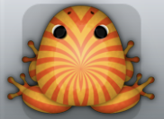 Orange Carota Frondis Frog from Pocket Frogs