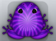 Purple Viola Frondis Frog from Pocket Frogs