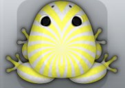 Yellow Albeo Frondis Frog from Pocket Frogs