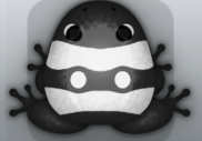 Black Albeo Geminus Frog from Pocket Frogs