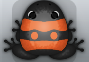 Black Carota Geminus Frog from Pocket Frogs