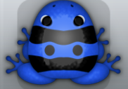 Blue Picea Geminus Frog from Pocket Frogs