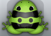 Green Picea Geminus Frog from Pocket Frogs