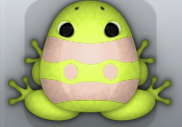 Lime Ceres Geminus Frog from Pocket Frogs