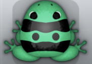 Marine Picea Geminus Frog from Pocket Frogs