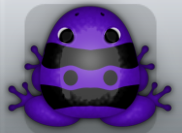Purple Picea Geminus Frog from Pocket Frogs