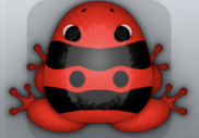 Red Picea Geminus Frog from Pocket Frogs