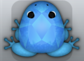 Azure Caelus Gemma Frog from Pocket Frogs