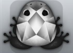 Black Albeo Gemma Frog from Pocket Frogs