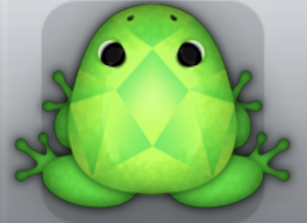 Emerald Folium Gemma Frog from Pocket Frogs